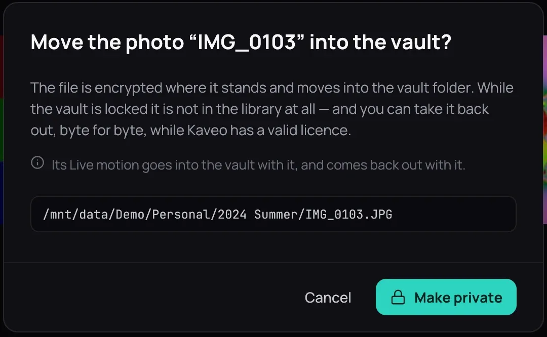 The confirmation asking to move the photo into the vault, its path, and that its Live motion goes with it