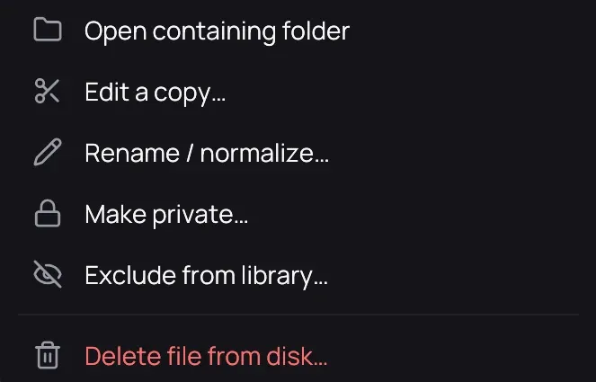 The file half of a card's menu: Open containing folder, Edit a copy…, Rename / normalize…, Make private…, Exclude from library…, and under a separator Delete file from disk…