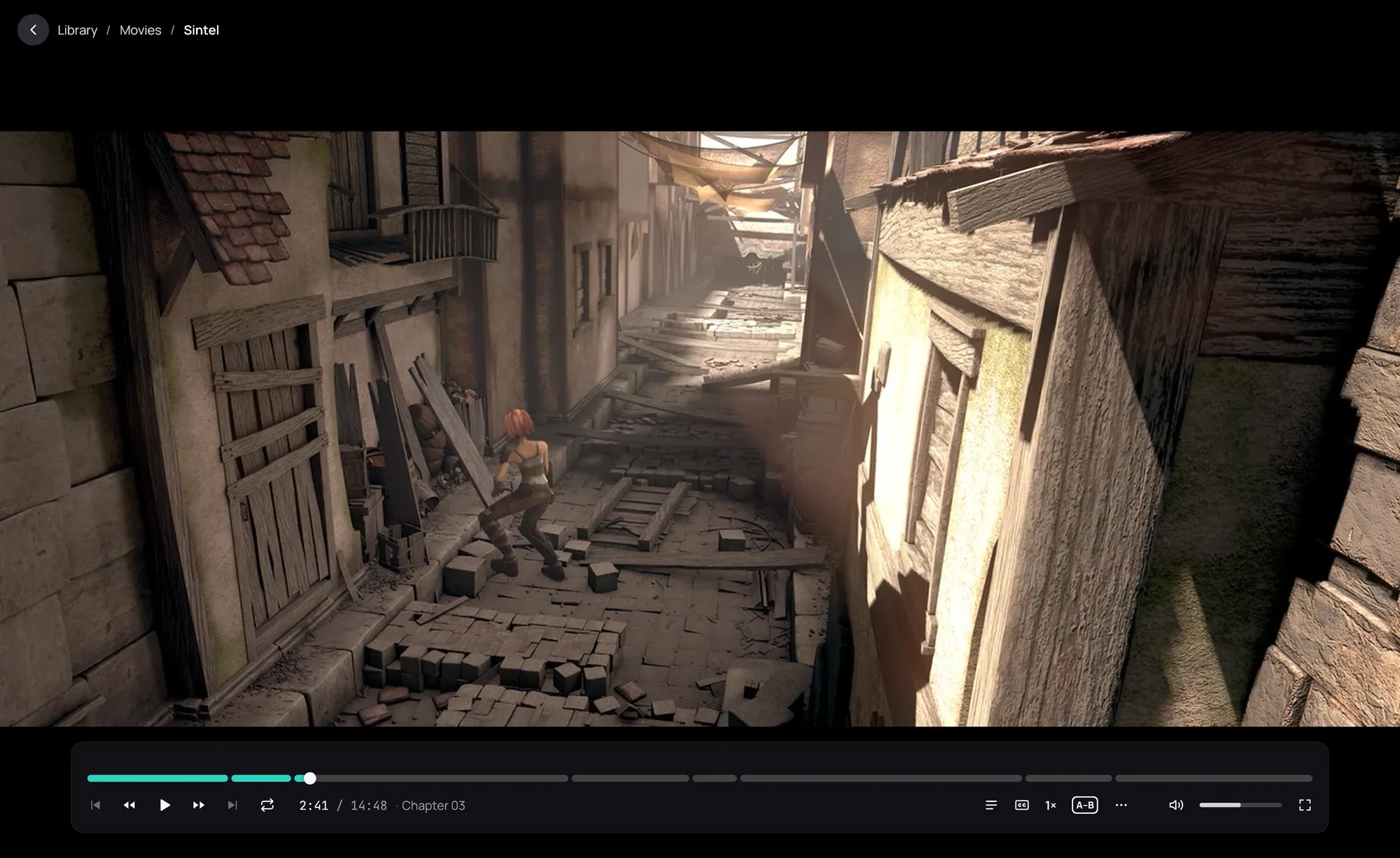 The player with the playback bar showing the timeline and the playback controls