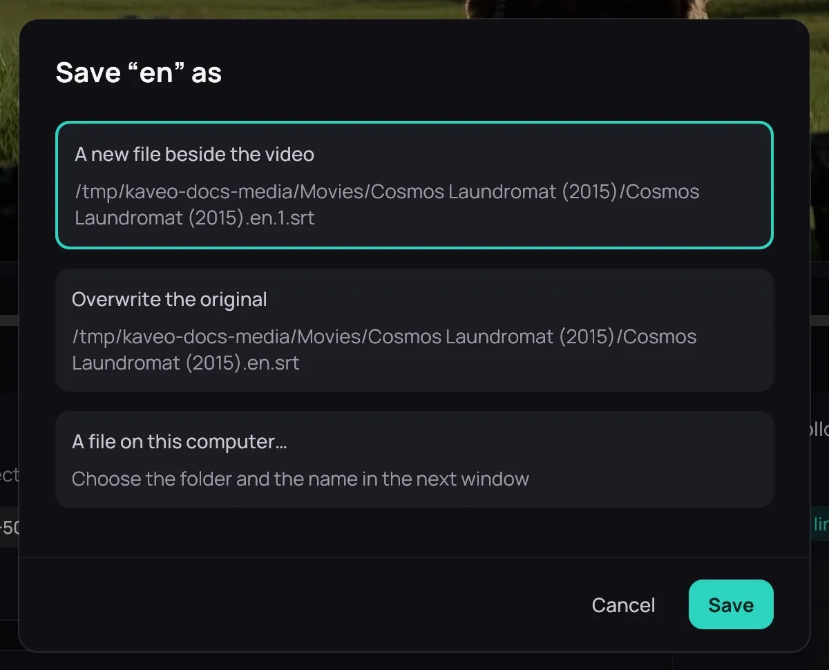 The Save as dialog: A new file beside the video with its path, Overwrite the original with the path of the file it came from, and A file on this computer…, then Cancel and Save